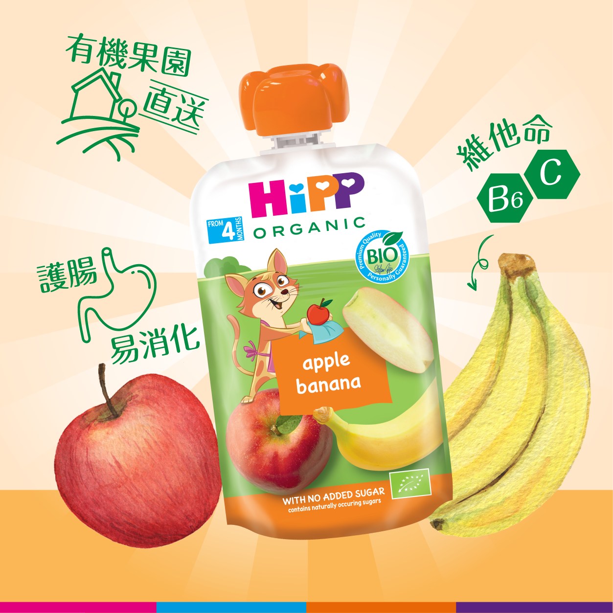 HiPP喜寶有機蘋果香蕉果蓉唧唧裝 (100克) 6支裝
