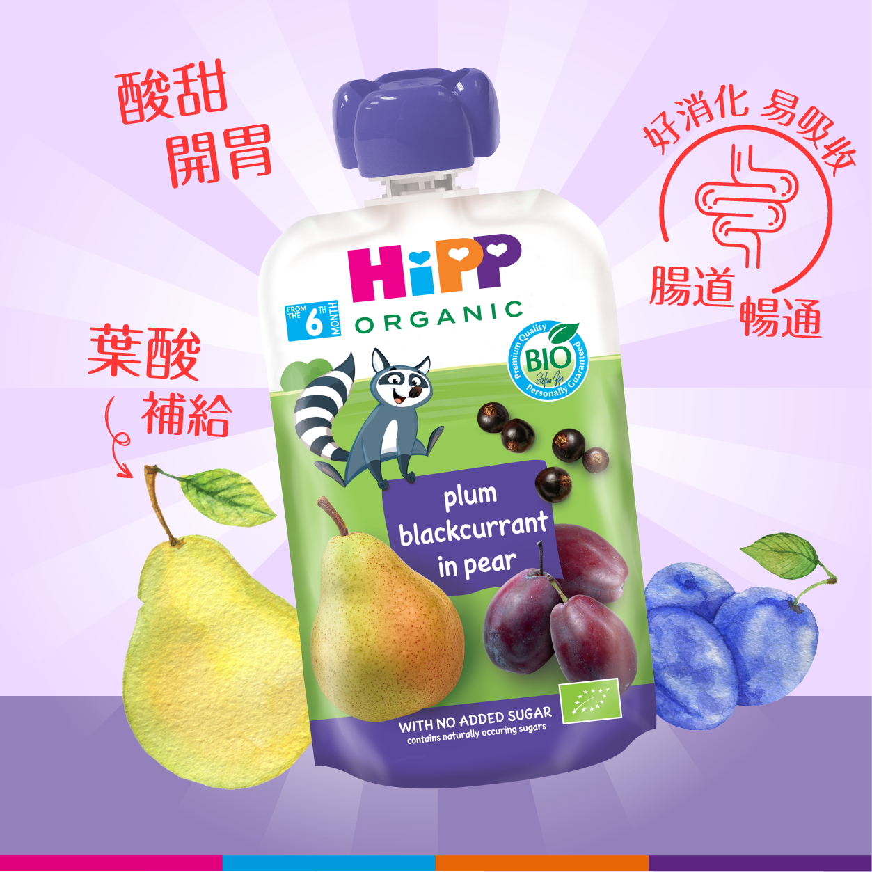 HiPP喜寶有機布冧黑加侖子洋梨果蓉唧唧裝 (100克) 6支裝