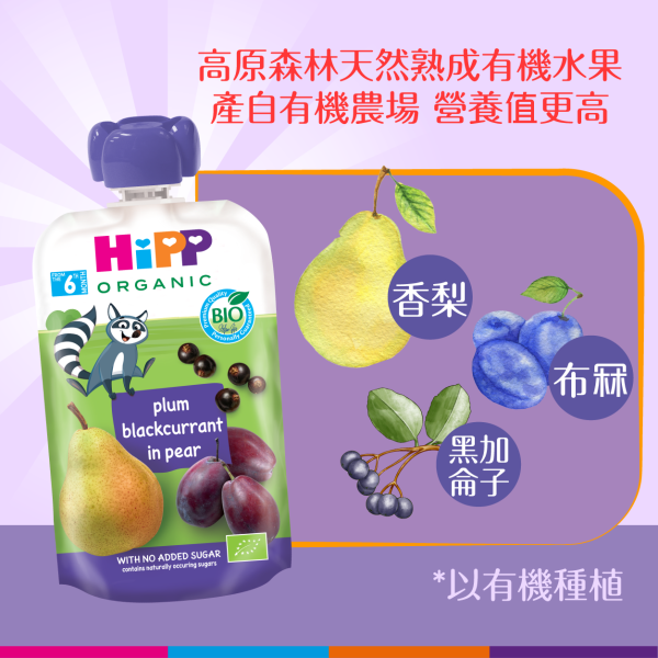 HiPP Organic Plum-Blackcurrant in Pear (100g) 6 pcs - Image 2