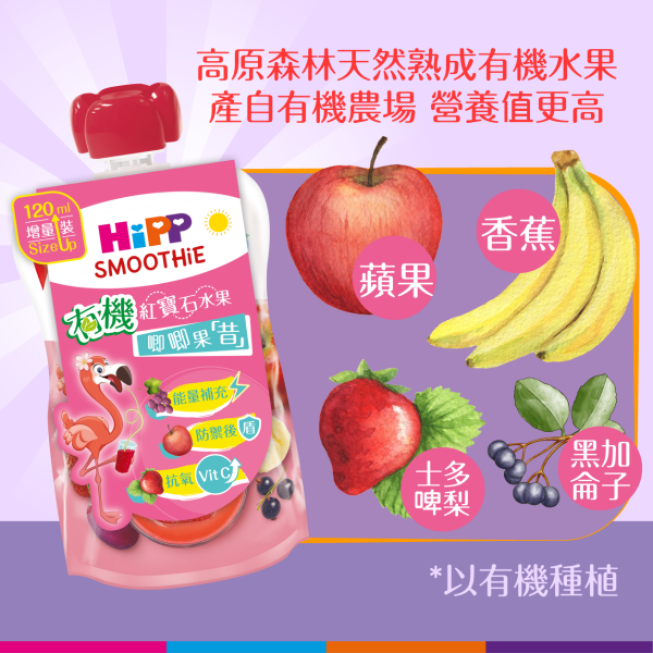 HiPP喜寶有機紅寶石水果唧唧果昔 (120亳升) 6支裝 (最佳食用日期: 2025年10月29日) - Image 4